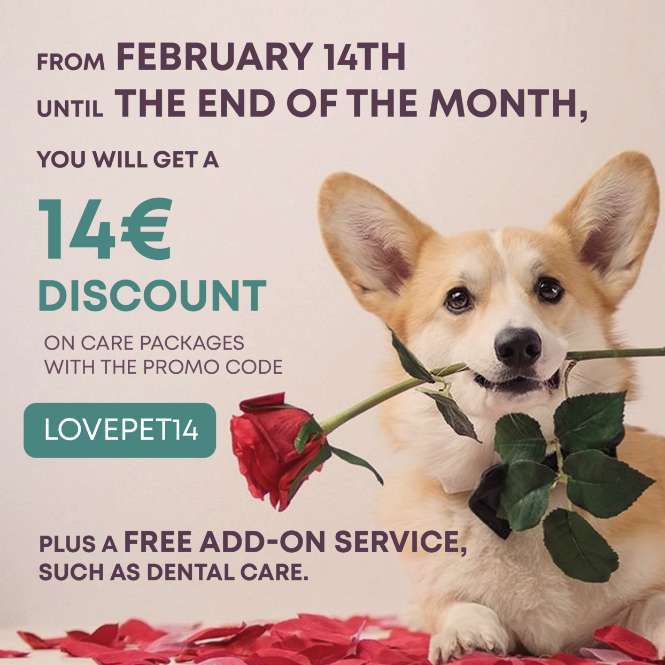 February 14th-02